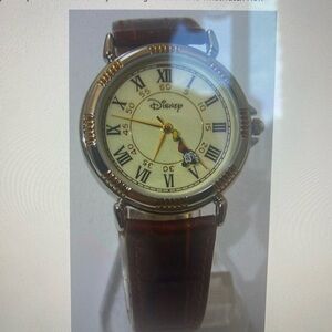 Disney Time works ladies watch